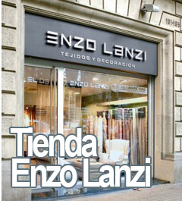 Franquicia Enzo Lanzi