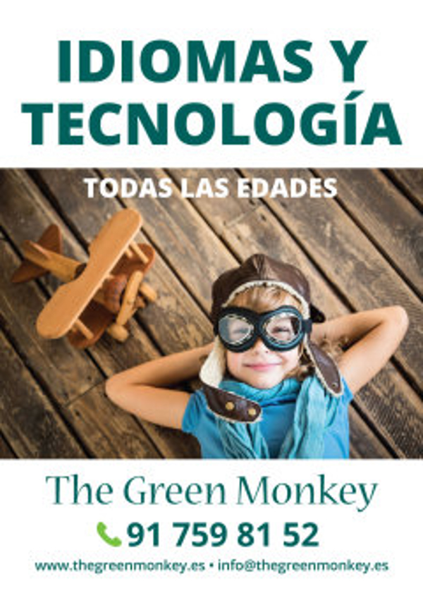Franquicia The Green Monkey