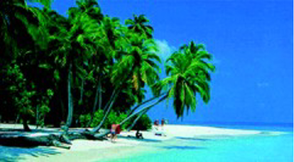 Travel !Ya!, Agencias de viajes