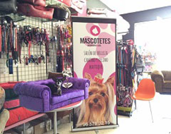 Franquicia Mascotetes Franquicia Mascotetes