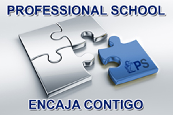 Franquicia ProfessionalSchool