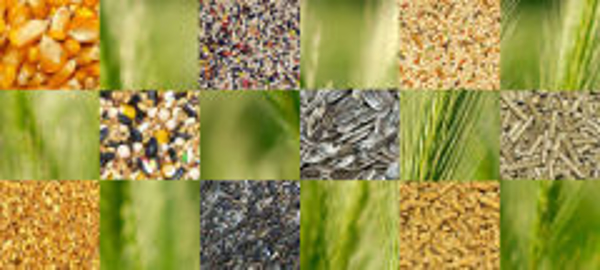 Franquicia Tierra Animal Franquicia Tierra Animal