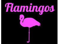 Franquicia Flamingos Vintage Kilo