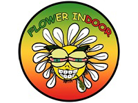 Flower Indoor
