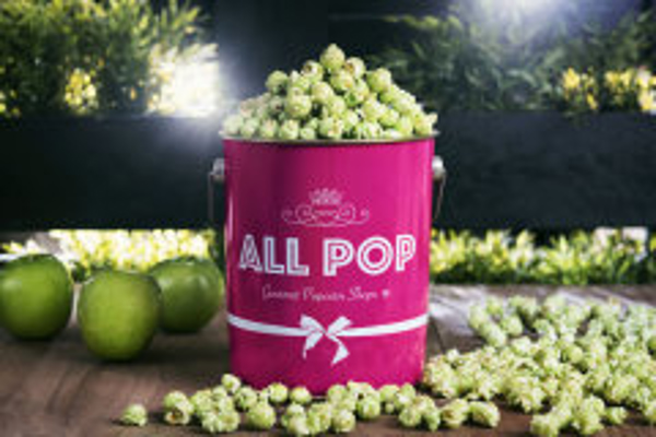Franquicia All Pop Franquicia All Pop