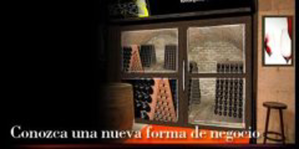 Franquicia Bodegalia de Vino