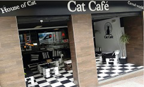 Franquicia Cat Café