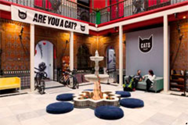 Franquicia Cats Hostels Franquicia Cats Hostels