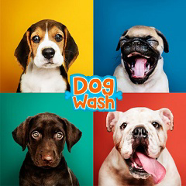Franquicia Dog Wash Franquicia Dog Wash