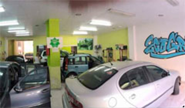 Franquicia Ecogreen Car Franquicia Ecogreen Car