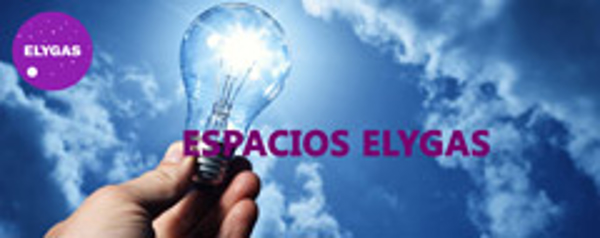 Franquicia Elygas Franquicia Elygas
