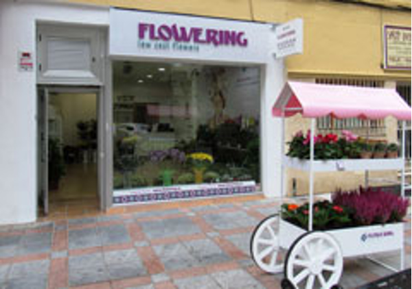 Franquicia Flowering