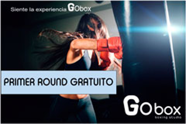 Franquicia GoBox