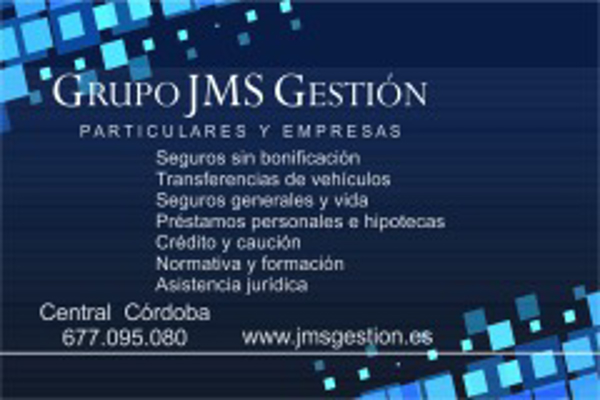 Franquicia Grupo JMS Gestión