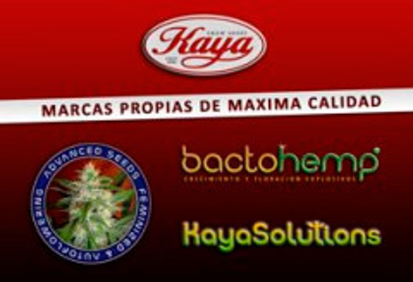 Franquicia Kaya Grow Shops