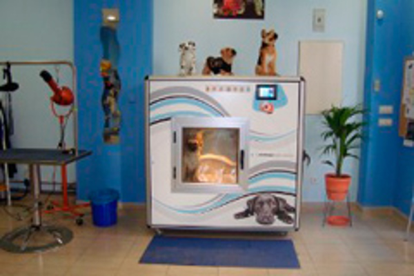 Franquicia Pet Spa Madrid