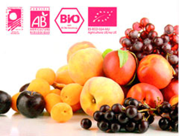 Franquicia Main Food Link Franquicia Main Food Link