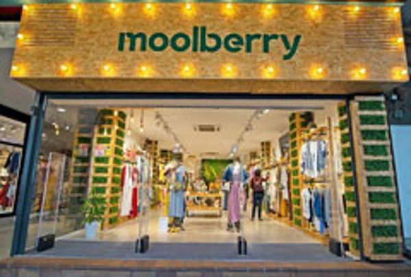 Franquicia Moolberry Franquicia Moolberry