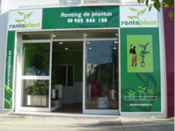Franquicia Rentaplant Franquicia Rentaplant