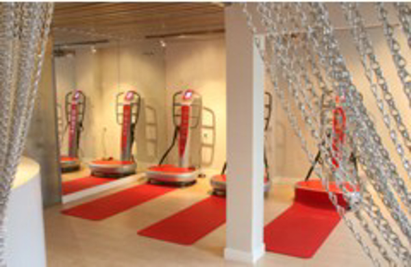 Franquicia Vibro Slim and Fit Franquicia Vibro Slim and Fit