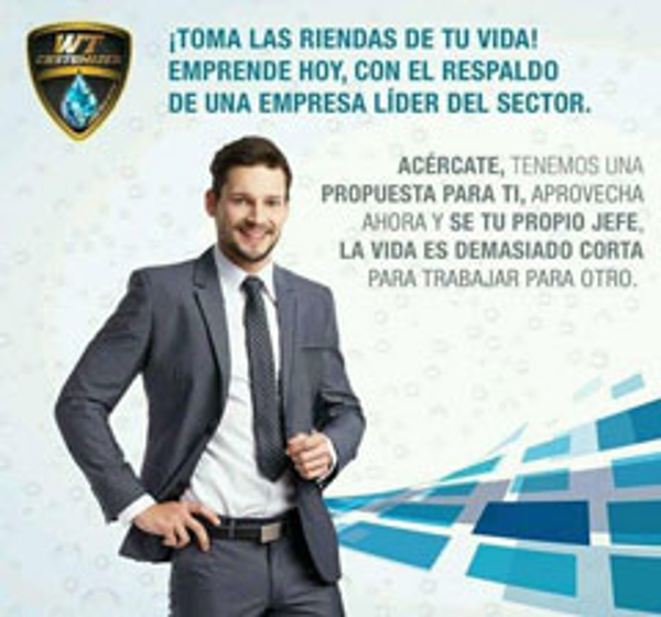 Franquicia WT Customizer Franquicia WT Customizer