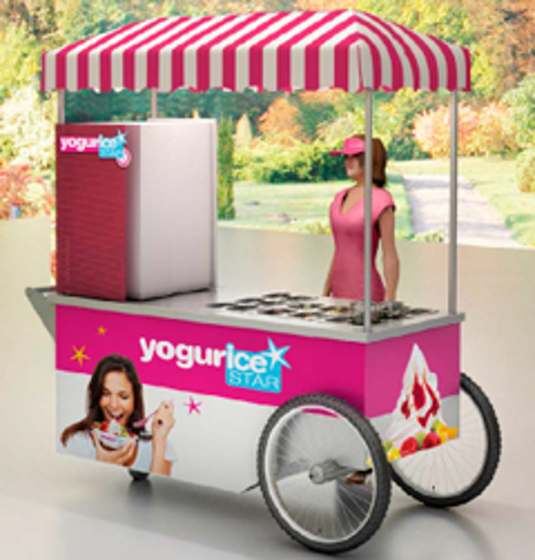 Franquicia Yogurice & food