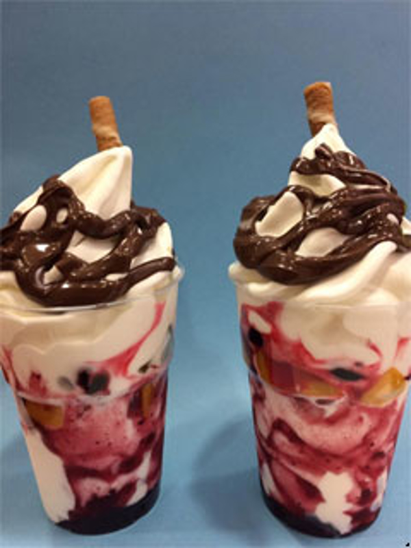Franquicia Yogurt Fruit Franquicia Yogurt Fruit