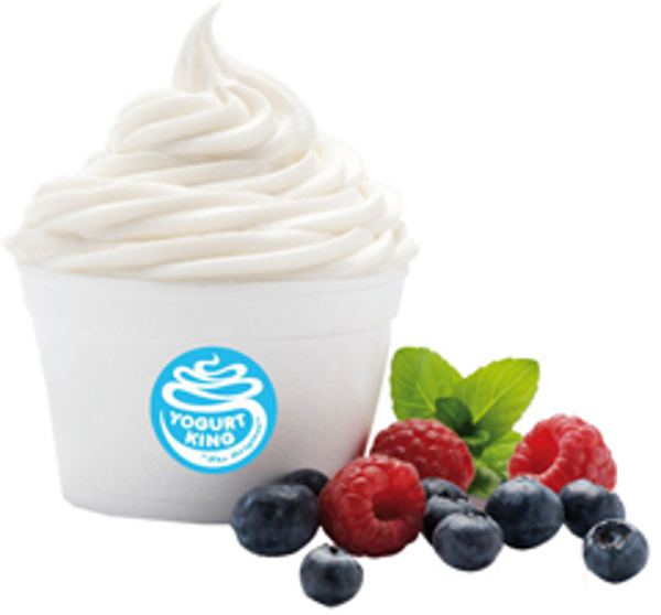 Franquicia Yogurt King