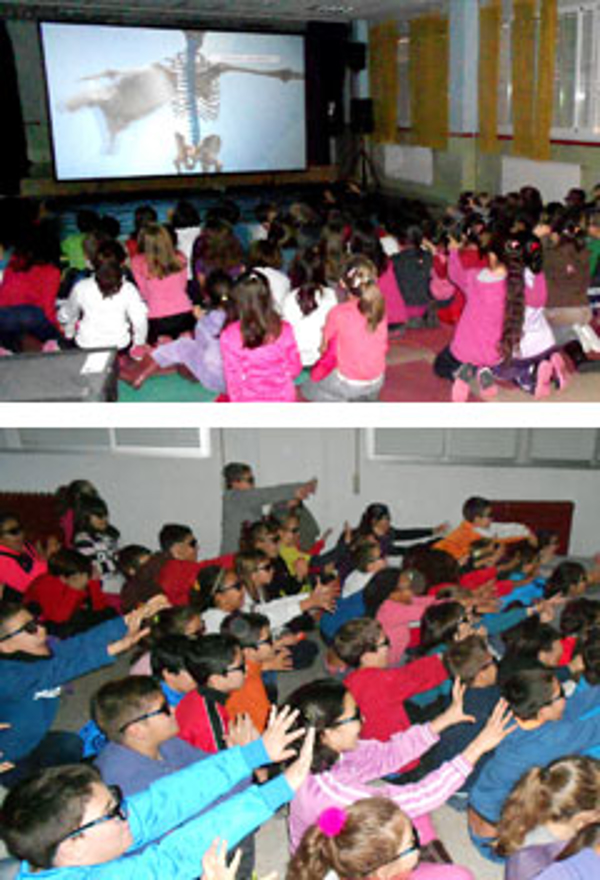 Franquicia 3D Educativo Franquicia 3D Educativo