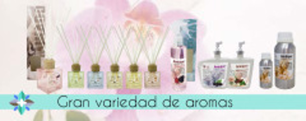Franquicia Ambiper Franquicia Ambiper