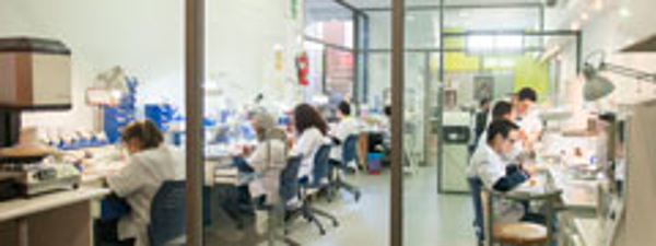 Franquicia Dental Esthetic Laboratorios Franquicia Dental Esthetic Laboratorios