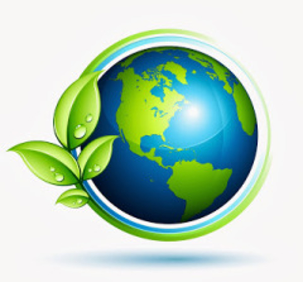 Franquicia Ecológico Sur Franquicia Ecológico Sur