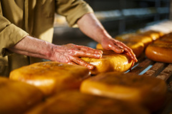 Franquicia Farmers & Co Franquicia Farmers & Co