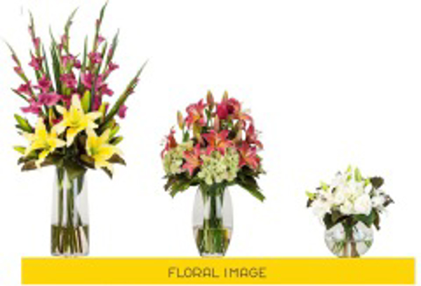 Franquicia Floral Image Franquicia Floral Image