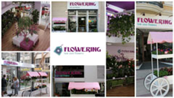 Franquicia Flowering Franquicia Flowering