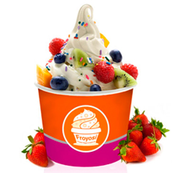 Franquicia Froyosi