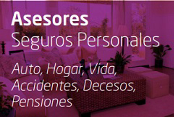 Franquicia Gexbrok Franquicia Gexbrok