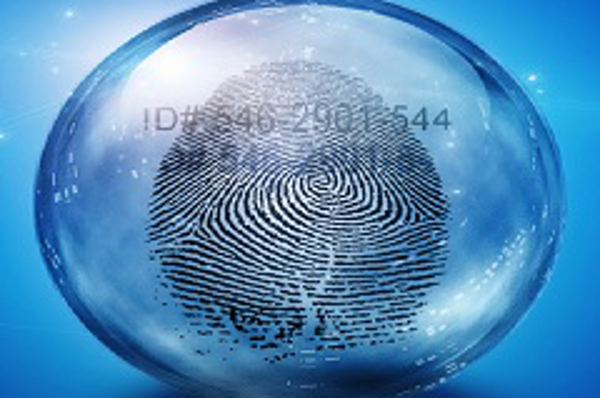 Franquicia Investigando+ Franquicia Investigando+