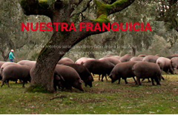 Franquicia Jamón y Salud Franquicia Jamón y Salud