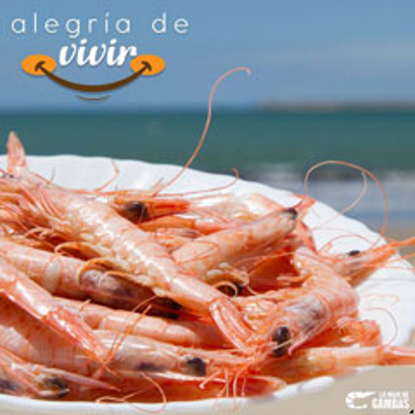 Franquicia La Mar de Gambas Franquicia La Mar de Gambas