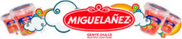 Franquicia Miguelañez Franquicia Miguelañez