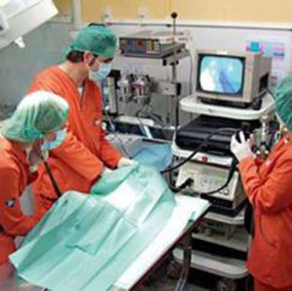 Franquicia Nexo, Centros Veterinarios Franquicia Nexo, Centros Veterinarios