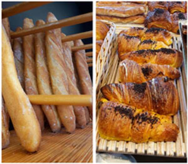 Franquicia Panaderías Panea Franquicia Panaderías Panea
