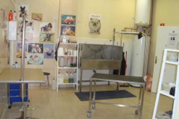 Franquicia Pet Spa Madrid