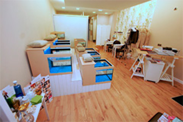 Franquicia TherapyFish Spa