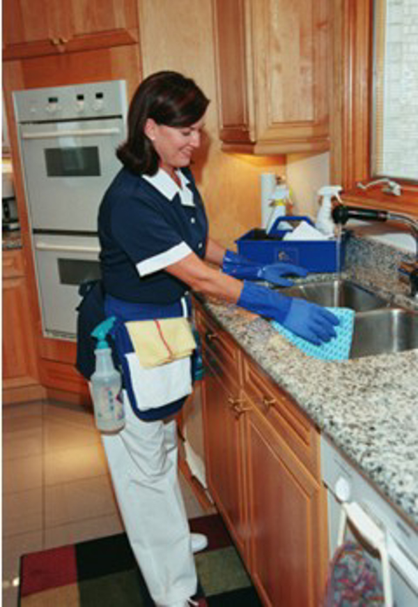 Franquicia The Clean House