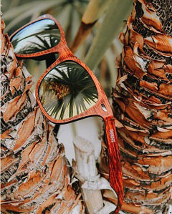 Franquicia Thunder Glasses