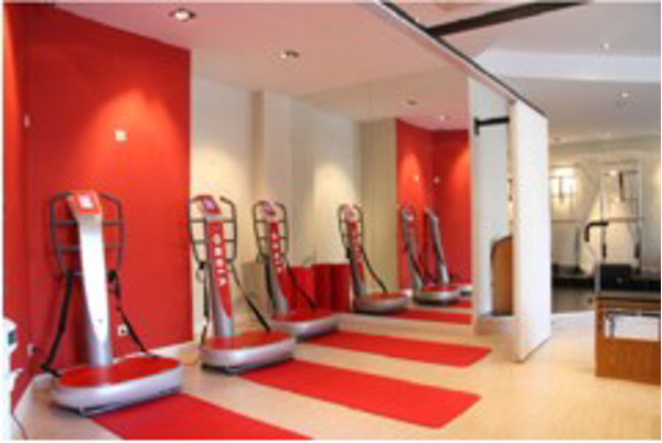 Franquicia Vibro Slim and Fit Franquicia Vibro Slim and Fit