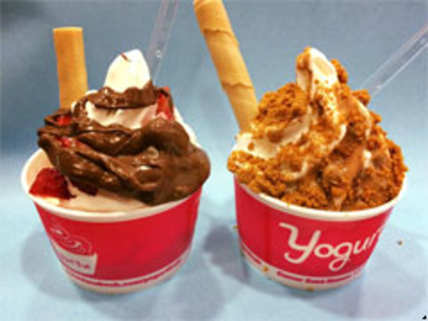Franquicia Yogurt Fruit Franquicia Yogurt Fruit