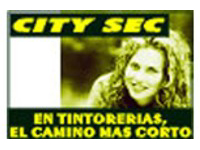 Franquicia City Sec Tintorerías
